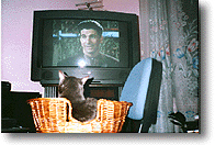 ed&cat