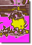 Feeding Pigeons
